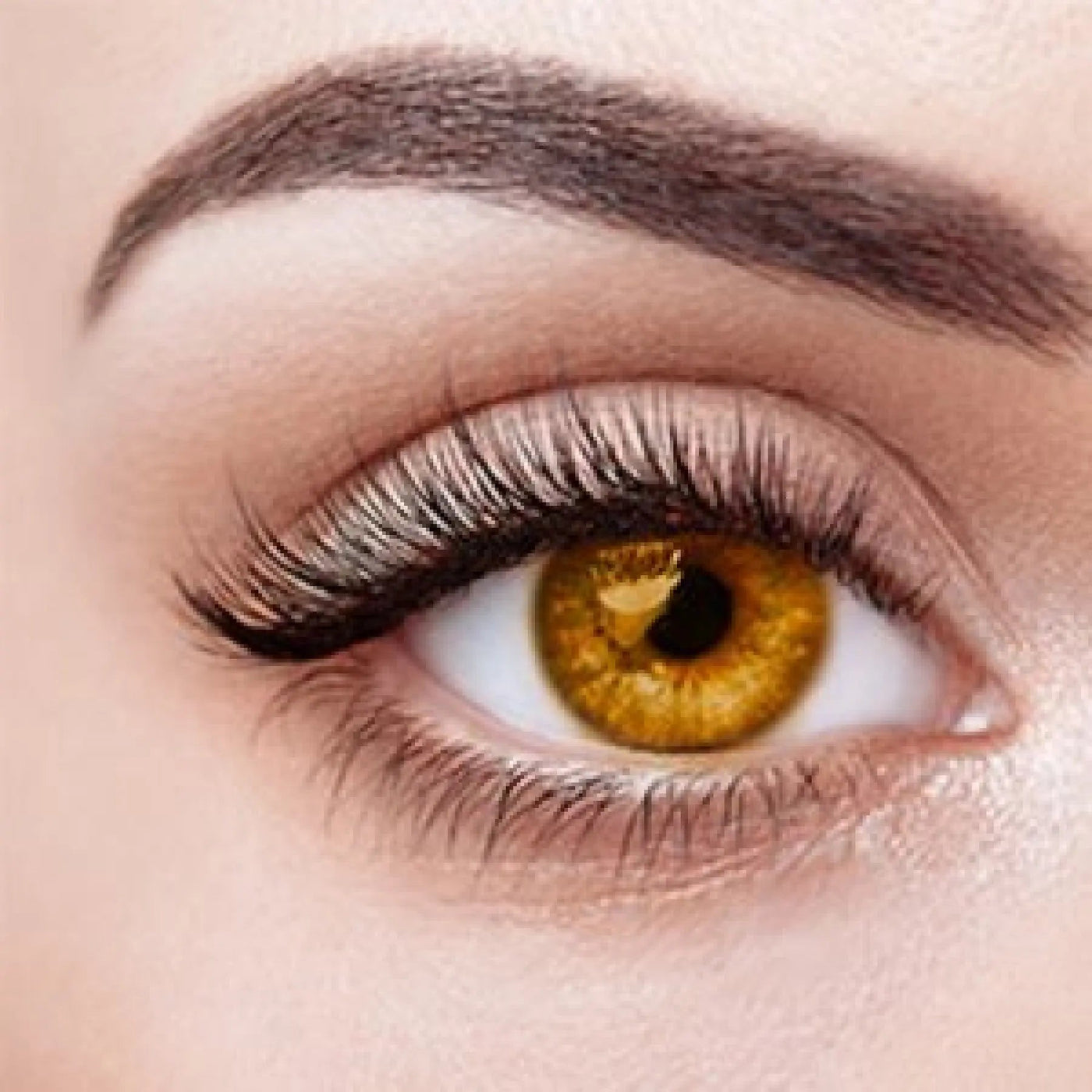 Yellow Replacement Eyes For Sex Dolls