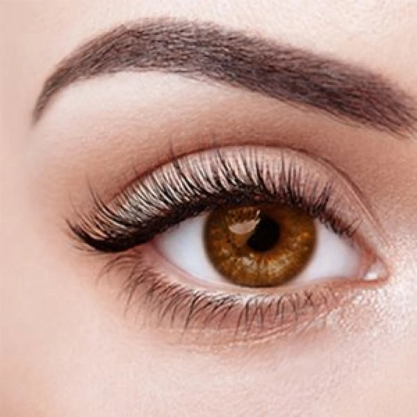 Sex Doll Eyes Brown